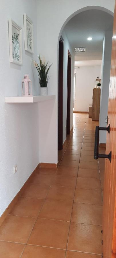 Apartamento Las Azaleas تورّوكس كوستا المظهر الخارجي الصورة